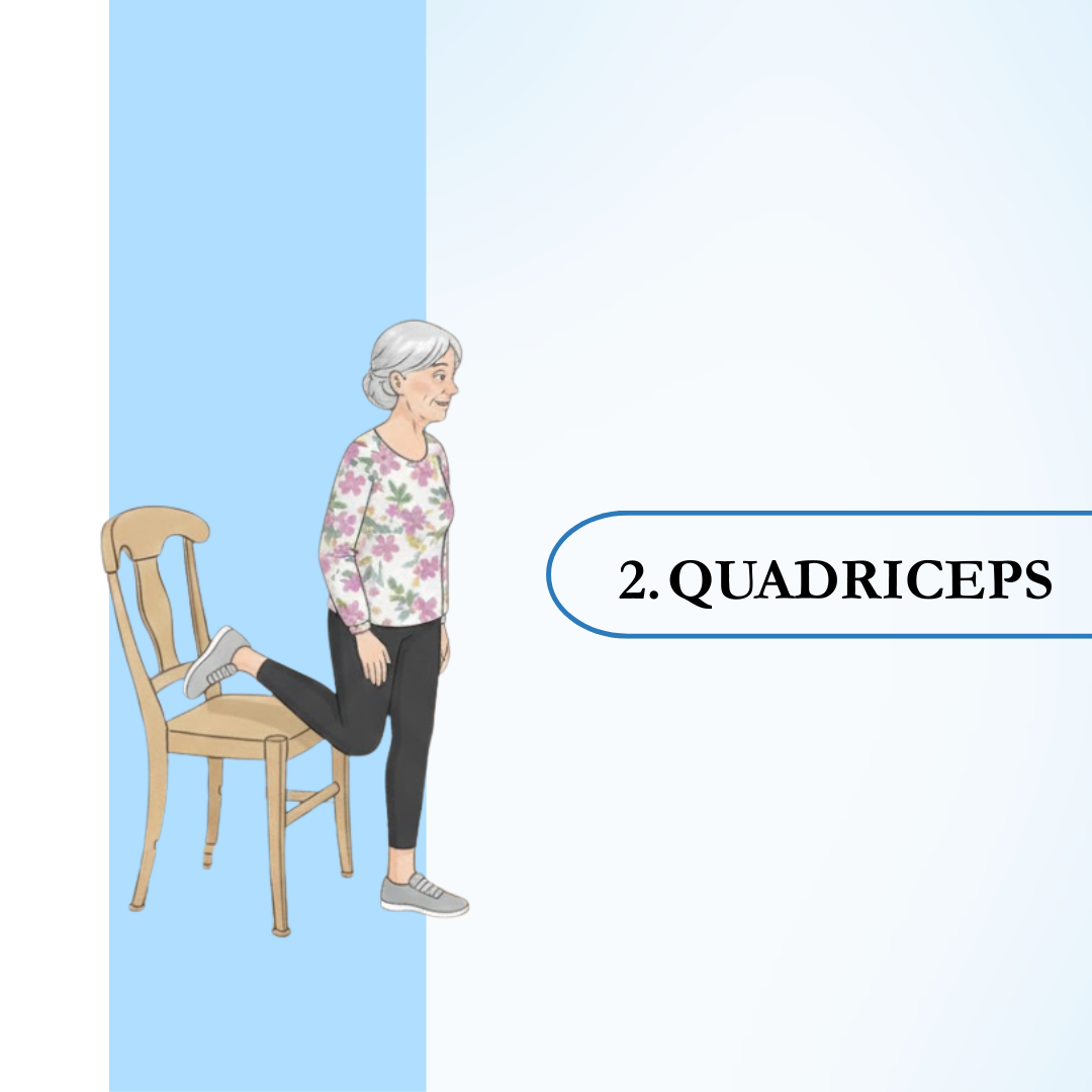 QUADRICEPS Exercise for Seniors Over 75 
